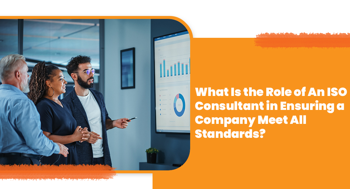 What Is the Role of An ISO Consultant in Ensuring a Company Meet All Standards?